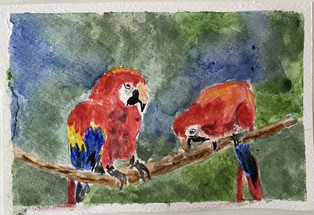 Akvarellmålning av två röda papegojor