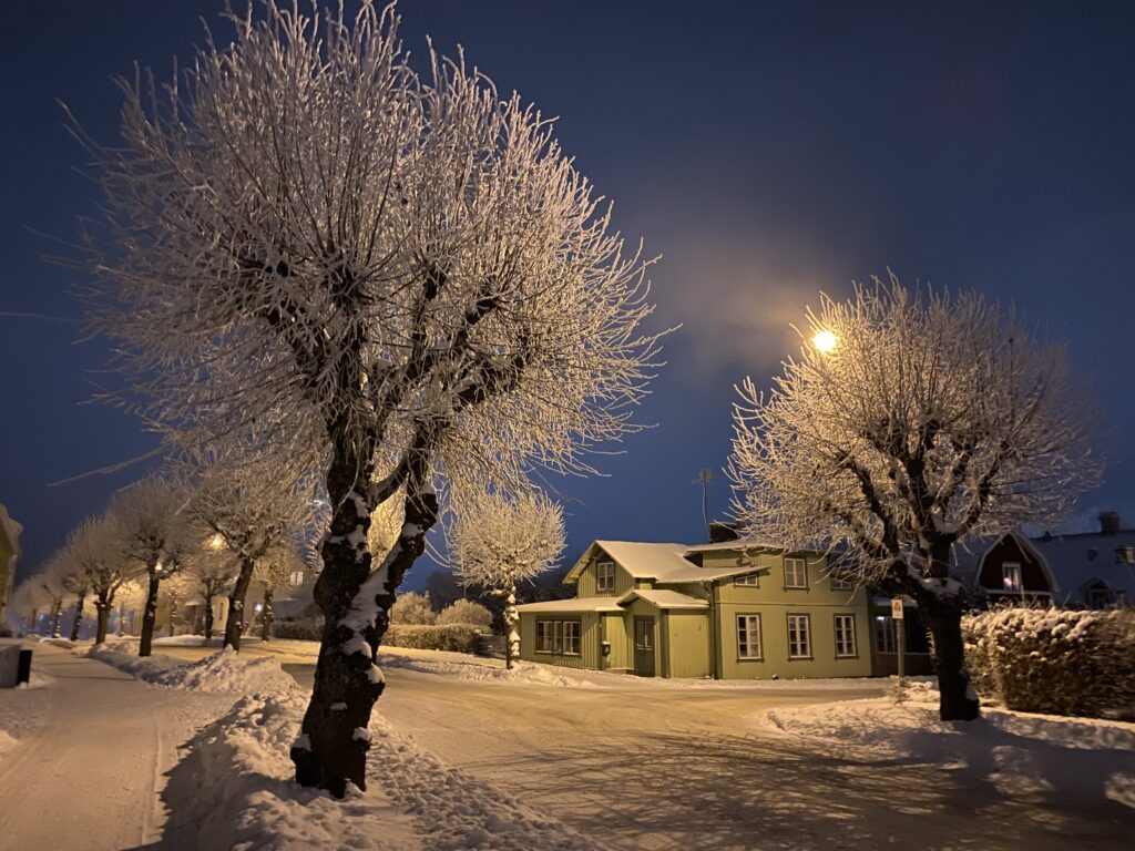 Foto som visar snötyngda träd mot mörkblå himmel. I mitten en grön liten stuga. 