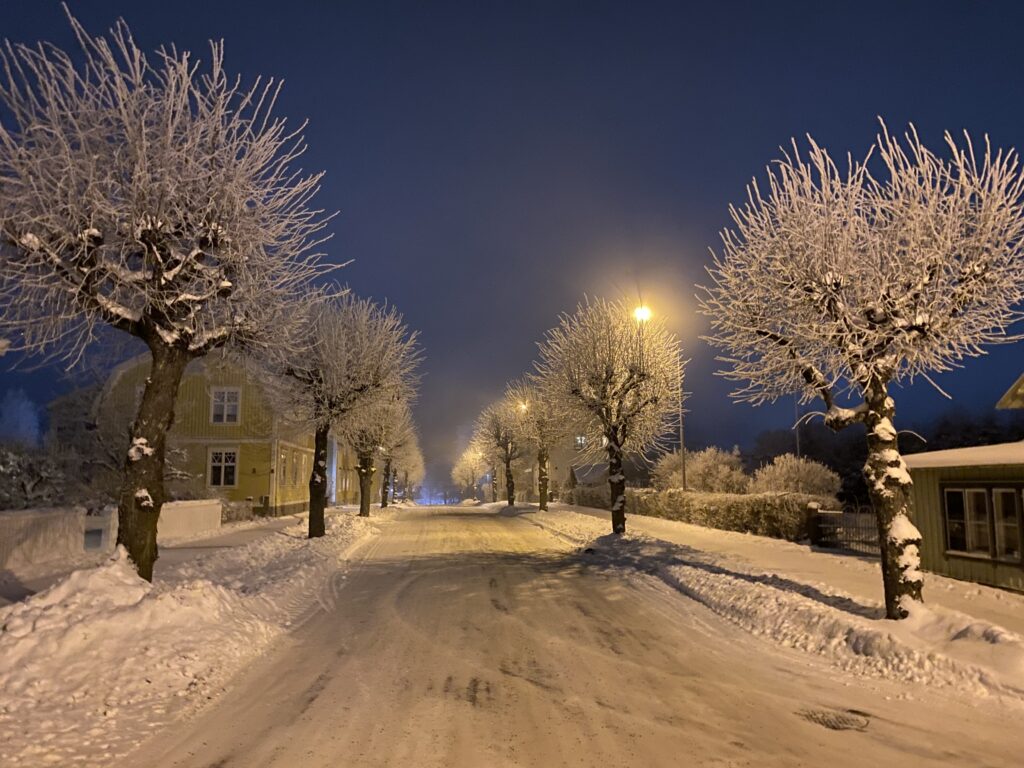 Foto av en alle med snötyngda träd. Mörkblå himmel och snö på gatan